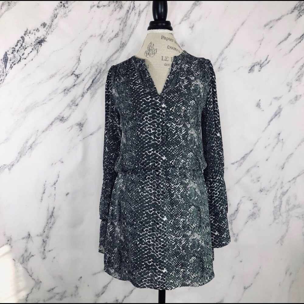 Parker (xs) print dress